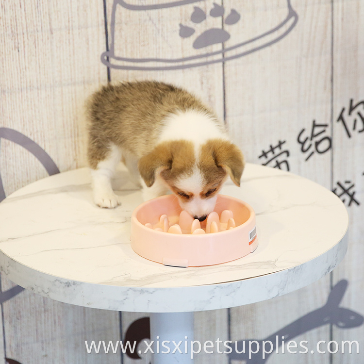 Wholesale Slow Eating Dog Bowl OEM Dog Bowl Quality Dog Bowl Slow